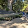Photo of Patty Walters Landscape Design