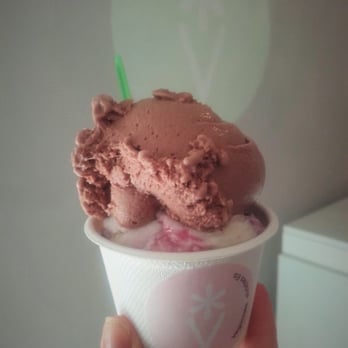 Veganista - Chocolate & wild forest. - Ice Cream & Frozen Yogurt Near Me - Vienna, 9 Veganista - Chocolate & wild forest. - Ice Cream & Frozen Yogurt Near Me - Vienna, 9