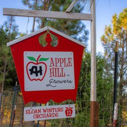 Sloan Winters Mountain Orchard And Garden