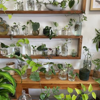 Bloom In Box - Florists Near Me - La Palma, California
