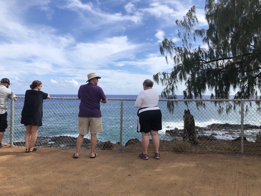 Spouting Horn by null