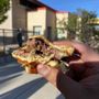 Photo of Umami Moto Food Truck