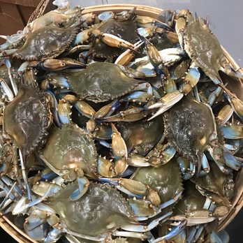 The Fish House - #1 Jimmies - Seafood Markets Near Me - Apex, North Carolina