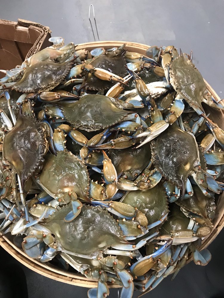 THE FISH HOUSE 41 Photos & 35 Reviews Seafood Markets 837 Perry Rd, Apex, NC Phone