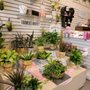 Photo of Darla's Florist