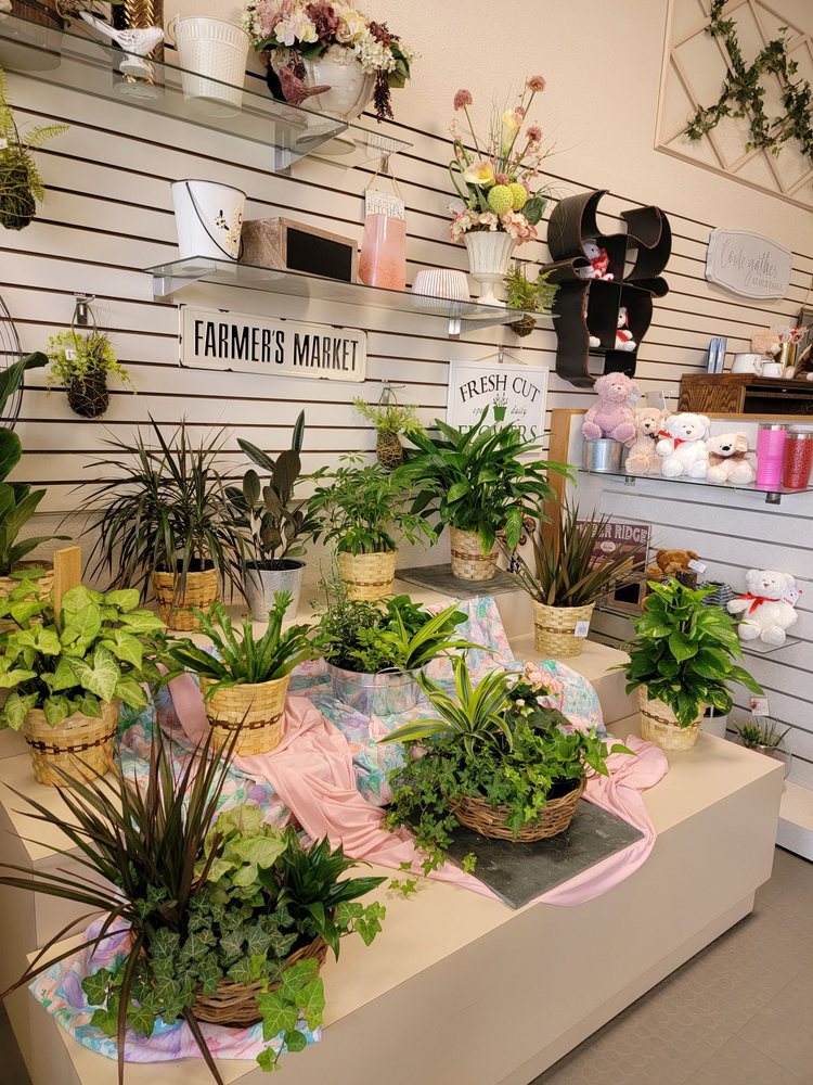 DARLA’S FLORIST Updated October 2024 59 Photos & 17 Reviews 6904 Blvd 26, North Richland