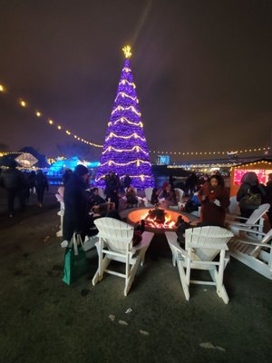 Aurora Winter Festival by null