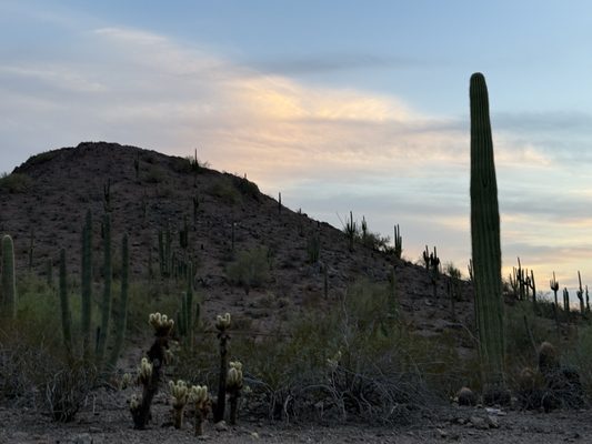 Papago Park by null