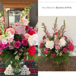 Bloomers - Reality on the left, expectation on the right. Pleasantly exceeded my expectations! 5/8/22