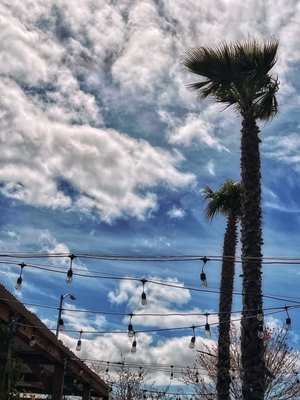 The Backyard by null