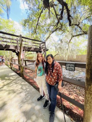 Edisto Island Serpentarium by null