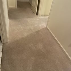 Gavin's Carpet Care - After carpet cleaning.