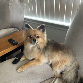 Earth Wise Pet - Pet Groomers Near Me - Corpus Christi, Texas