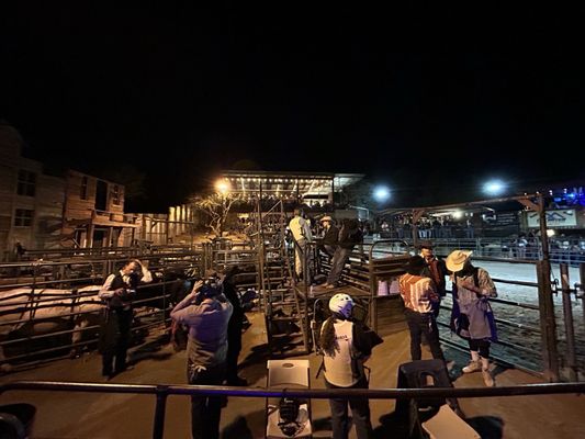 Buffalo Chip Saloon and Steakhouse by null