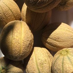 Marché Citoyen Petite Bourgogne