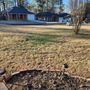 Photo of Graceland Landscaping
