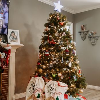 Corazon Photography - Christmas tree - Session Photography Near Me
