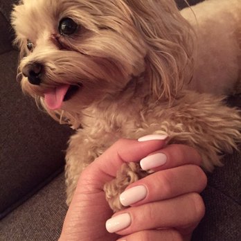 Zegna Nails - Meet Mia - the cutest doggie ever - Nail Technicians Near Me - New York, New York Zegna Nails - Meet Mia - the cutest doggie ever - Nail Technicians Near Me - New York, New York