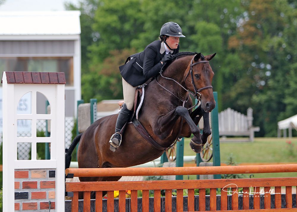 Three Ships - equestrian in Sheridan, IN