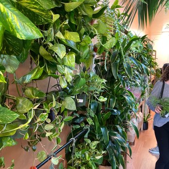 Las Selvas - Nurseries & Gardening Near Me - San Bruno, California