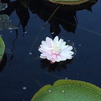 Chicago Botanic Garden - Botanical Gardens Near Me - Glencoe, Illinois