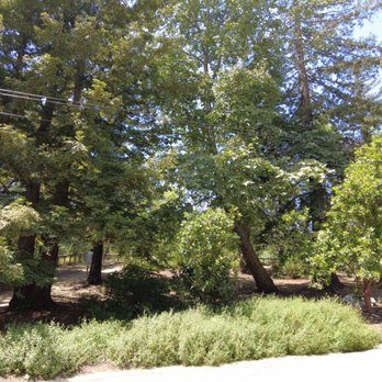 Descanso Gardens - Botanical Gardens Near Me - La Canada Flintridge, California Descanso Gardens - Botanical Gardens Near Me - La Canada Flintridge, California