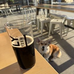 Tapster Seattle - Root beer on the patio