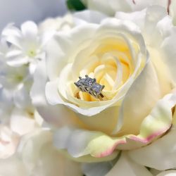 G. Alan's Fine Jewelry & Coin - 3-stone engagement rings! Choose your favorite or design your own!