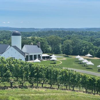Lost Mountain Vineyards - Vista at RdV - Wineries Near Me - Delaplane, Virginia