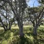 Photo of Ecological Concerns