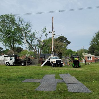 Brandon's Tree Service - Tree Services Near Me