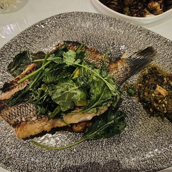 ZANA - Whole Black Sea bass - Modern European Near Me - Birmingham, Michigan ZANA - Whole Black Sea bass - Modern European Near Me - Birmingham, Michigan