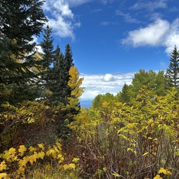 Aspen Vista Trail - Hiking Near Me Aspen Vista Trail - Hiking Near Me