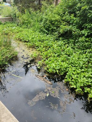 Urban Ecology Center - Riverside Park by null
