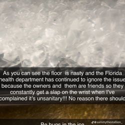 Bugs in ice