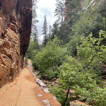 Angel's Landing - rain on the way back - Hiking Near Me - Springdale, Utah Angel's Landing - rain on the way back - Hiking Near Me - Springdale, Utah