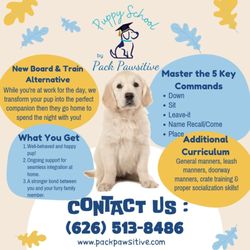 Pack Pawsitive - PUPPY SCHOOL!