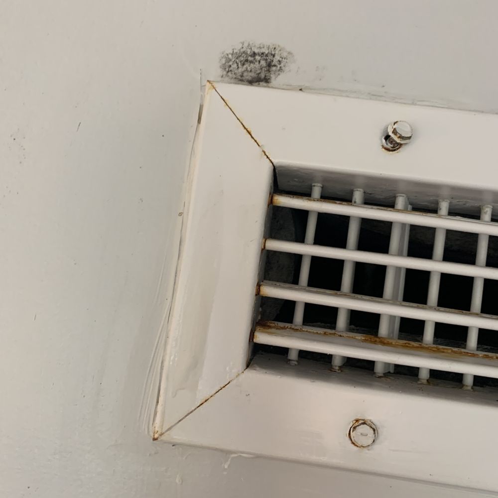 Mold in Bedroom Vent