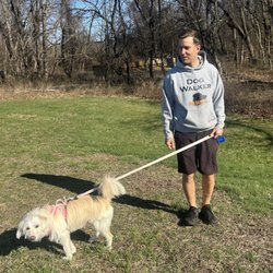 Dog Days NJ