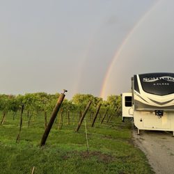 Rich Harvest Vineyard & Winery - Camping next to the vineyard
