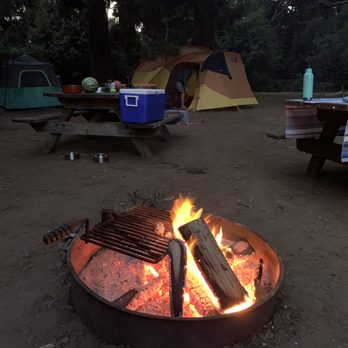 Jug Handle Creek Farm And Nature Center - Nice and private campsite. - Community Service/Non-Profit Near Me - Caspar, California Jug Handle Creek Farm And Nature Center - Nice and private campsite. - Community Service/Non-Profit Near Me - Caspar, California