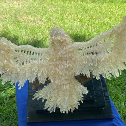 Artists Guild Gallery of Anna Maria Island