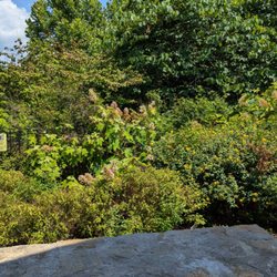 Marshall Native Gardens