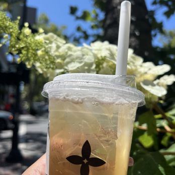 Molly Tea - Bubble Tea Near Me - Palo Alto, California Molly Tea - Bubble Tea Near Me - Palo Alto, California