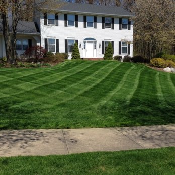 Mow and Plow - Lawn Care by Mow and Plow - Snow Removal Near Me - Grand Rapids, Michigan Mow and Plow - Lawn Care by Mow and Plow - Snow Removal Near Me - Grand Rapids, Michigan