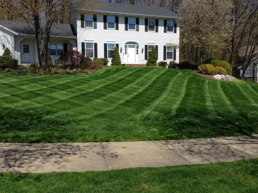 Mow and Plow - tree service in Grand Rapids, MI