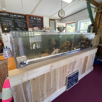 Happy Clam Shack - Lots of Fresh Lobsters - Seafood Near Me - Bar Harbor, Maine Happy Clam Shack - Lots of Fresh Lobsters - Seafood Near Me - Bar Harbor, Maine