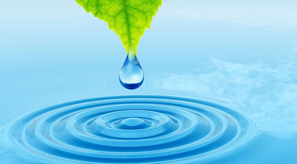 Springs of Life Counseling - grief counselor in Fort Mill, SC