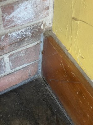 La Spiga Bakery by null