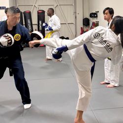 Saga Taekwondo - Focus Mitt Sessions: Learn fundamental striking and footwork during our Teen/Adult Sessions! It's also a stress reliever!